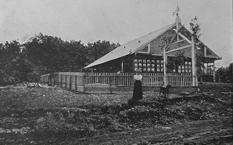 Cabana turistică din Pădurea Făget a Asociației Carpatine Transilvănene