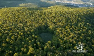 Ce se face în 2025 la proiectul inelului verde metropolitan al Clujului / Primăria vrea includerea Pădurii Hoia în Situl Natura 2000 