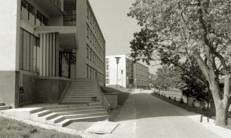 Căminele din Hasdeu, anii '60