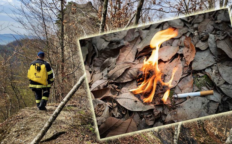 O țigară aruncată în zona forestieră uscată a fost destul pentru a pârjoli 30 de hectare de pădure / 5 zile de intervenţie, inclusiv cu elicoptere Black Hawk