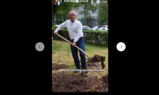 Boc, mâna pe lopată și cu ruleta pe trunchiul de copac. Câți arbori și-a asumat primăria până la final de 2026