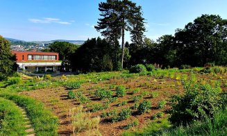 Grădina Agro-Botanică USAMV Cluj, un colț de natură în inima orașului