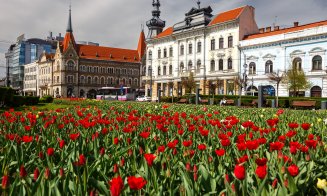 Cluj-Napoca vs. orașele mici din România. Unde e mai curat decât în Capitala Transilvaniei