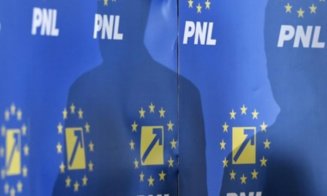PNL a votat susţinerea lui Nicuşor Dan în turul doi al alegerilor prezidenţiale