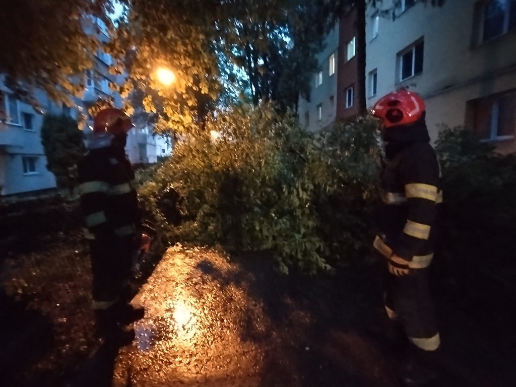 Stâlpi de curent căzuţi, arbori pe carosabil, apartamente şi subsoluri inundate în Cluj după ruperea de nori