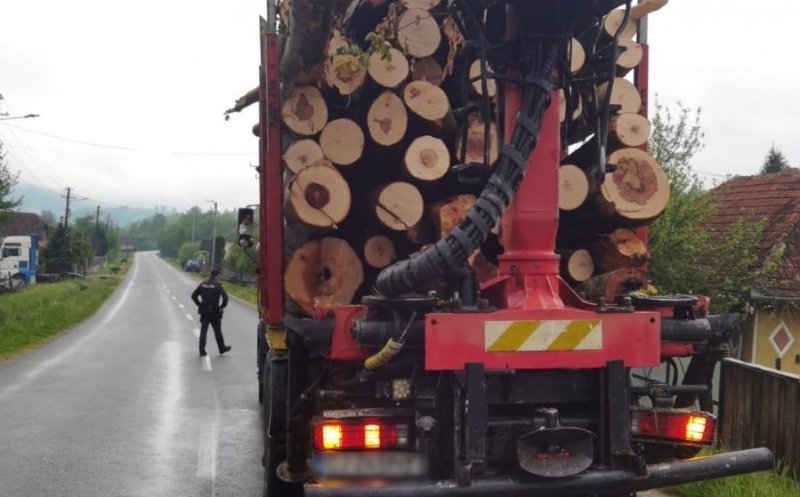 Control la afacerile cu lemne din Cluj: amenzi de 12.000 lei, material consifcat de 25.000 lei și 2 mașini indisponibilizate
