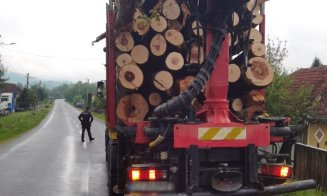 Control la afacerile cu lemne din Cluj: amenzi de 12.000 lei, material consifcat de 25.000 lei și 2 mașini indisponibilizate