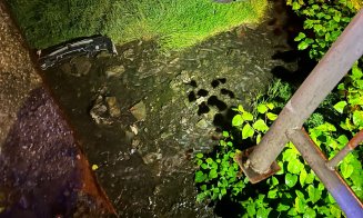 ACCIDENT-CASCADORIE în judeţul Cluj. Un şofer de 18 ani a căzut cu maşina de pe un pod. Nu vă imaginaţi deznodământul