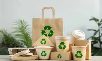 Transforma-ti businessul cu ambalaje eco-friendly