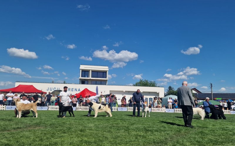 Concurs de frumusețe și expoziție de câini Napoca Dog Show, la Jucu
