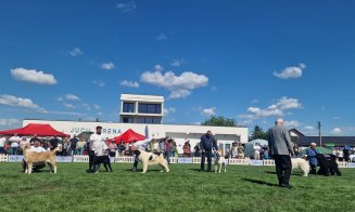 Concurs de dresaj canin și expoziție de câini Napoca Dog Show, la Jucu