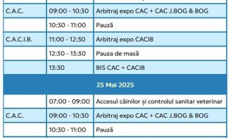 Concurs de dresaj canin și expoziție de câini Napoca Dog Show, la Jucu