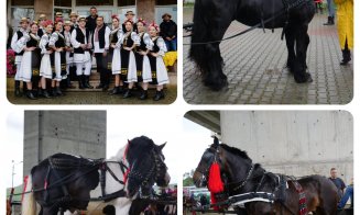 Peste 5.000 de oameni au participat la Festivalul Ecvestru de la Gilău. Primarul: „Platoul a fost plin de energie, aplauze și bucurie”