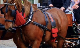 Peste 5.000 de oameni au participat la Festivalul-concurs ecvestru de la Gilău. Primarul: „Ne vedem la ediția din 2026”