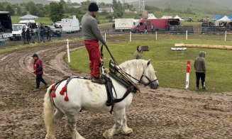 Peste 5.000 de oameni au participat la Festivalul-concurs ecvestru de la Gilău. Primarul: „Ne vedem la ediția din 2026”