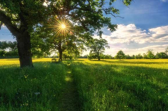 Vești noi de la meteorologi! Când vine vara/ Cum va fi vremea în minivacanța de Rusalii
