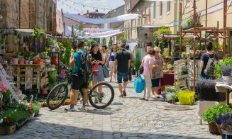 Cea mai frumoasă stradă din Cluj se umple din nou de magie