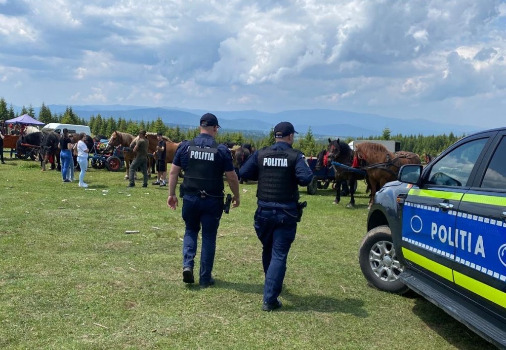 După moartea calului Falko, autoritățile ies la controale. Festivalurile ecvestre din Cluj, sub lupa Poliției și a veterinarilor