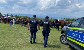 După moartea calului Falko, autoritățile ies la controale. Festivalurile ecvestre din Cluj, sub lupa Poliției și a veterinarilor