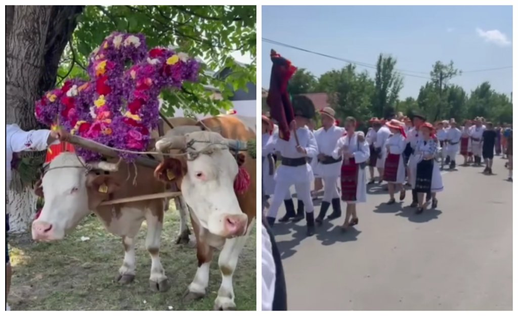 Magia Rusaliilor într-un sat din Cluj: obiceiul "boului împănat", păstrat de secole