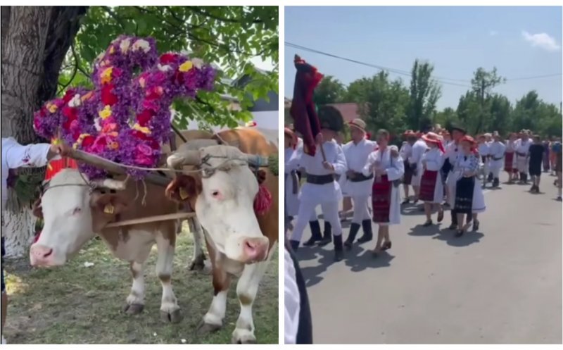 Magia Rusaliilor într-un sat din Cluj: obiceiul "boului împănat", păstrat de secole