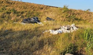 Ură pe natură: Gunoaie de mari dimensiuni aruncate aproape de malul Someşului, în Floreşti / "Se tot înmulțesc..."