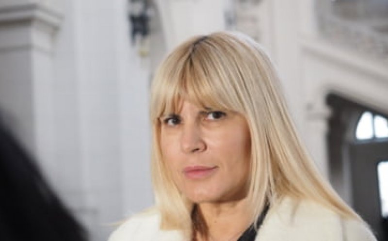 Veste bună pentru Elena Udrea! A primit aviz pozitiv pentru eliberare condiţionată din partea penitenciarului