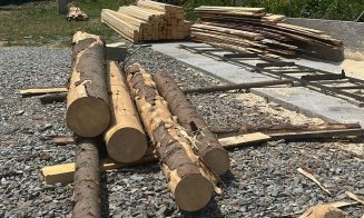 Percheziții la Băişoara la HOŢII de lemn: Tăiere fără drept și furt de arbori / Material lemnos CONFISCAT