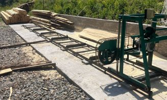 Percheziții la Băişoara la HOŢII de lemn: Tăiere fără drept și furt de arbori / Material lemnos CONFISCAT