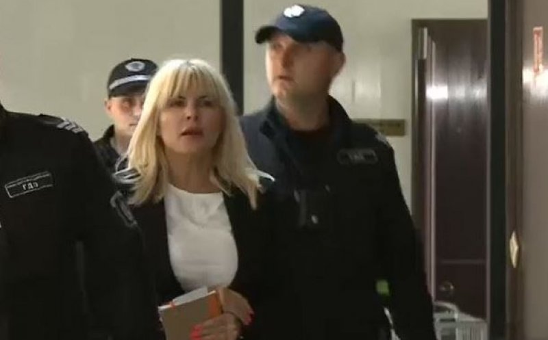 Elena Udrea izbucnit în plâns în fața magistraților. Ce au decis judecătorii privind liberarea condiționată