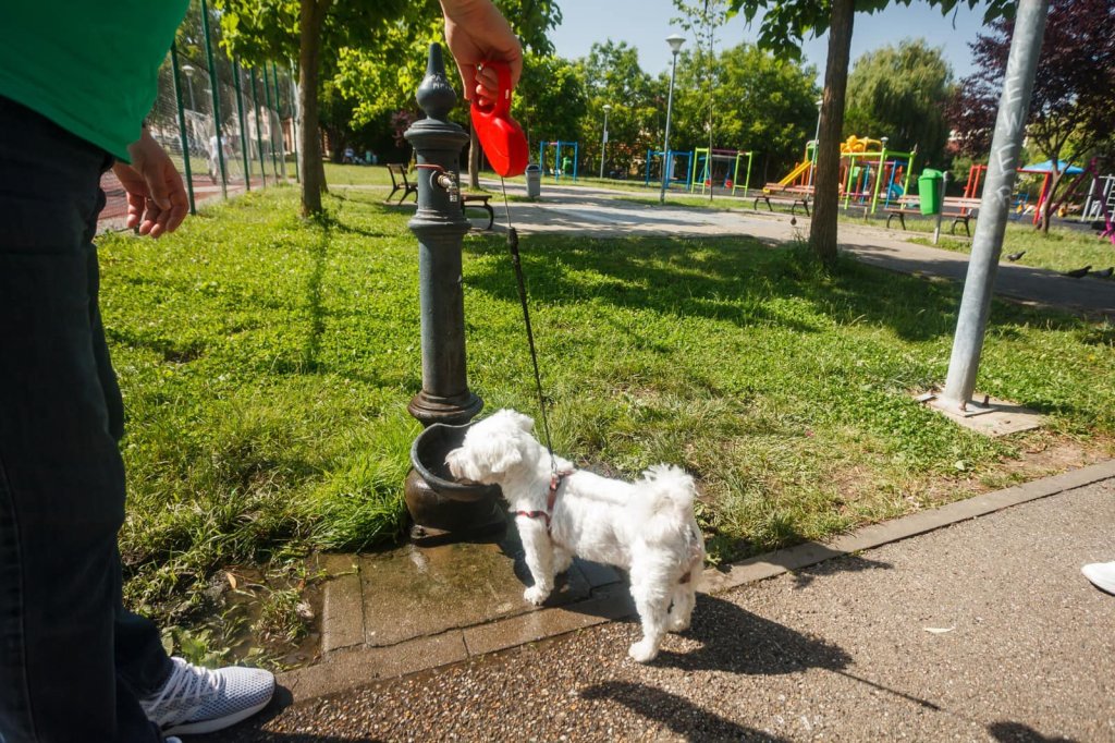 Cluj-Napoca: Peste 100 de cișmele cu apă potabilă în oraș