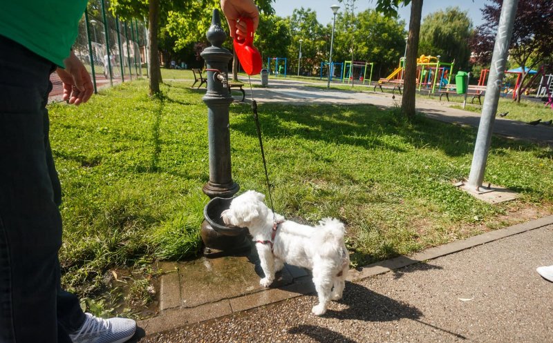 Cluj-Napoca: Peste 100 de cișmele cu apă potabilă în oraș