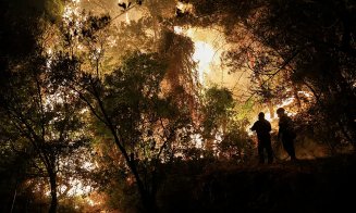 Ard şi case în Grecia, în timp ce incendiul de vegetație se răspândește lângă Atena