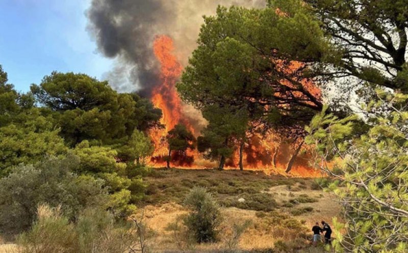 Ard şi case în Grecia, în timp ce incendiul de vegetație se răspândește lângă Atena