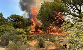Ard şi case în Grecia, în timp ce incendiul de vegetație se răspândește lângă Atena