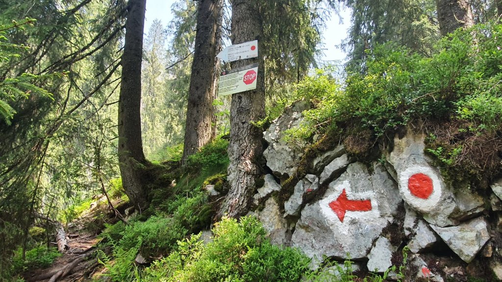 S-a redeschis traseul turistic „Circuitul Someșului Cald”, grav afectat de o furtună. ATENȚIE, e DIFICIL!