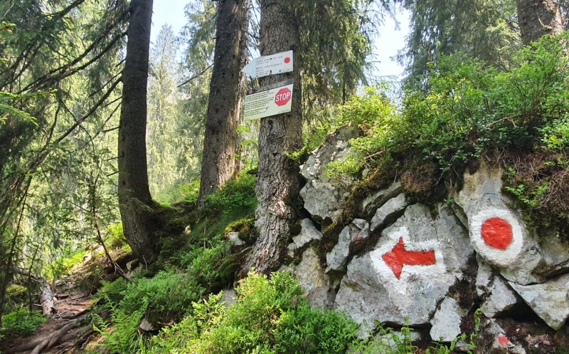 S-a redeschis traseul turistic „Circuitul Someșului Cald”, grav afectat de o furtună. ATENȚIE, e DIFICIL!
