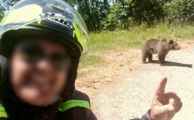 Motociclistul ucis de o ursoaică pe Transfăgărășan își făcuse selfie-uri cu fiara înainte ca aceasta să îl sfâșie
