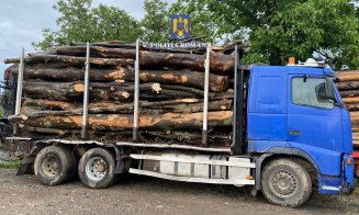 Transport ilegal de lemne, oprit de polițiști în Cluj. Lemnul și camionul, confiscate