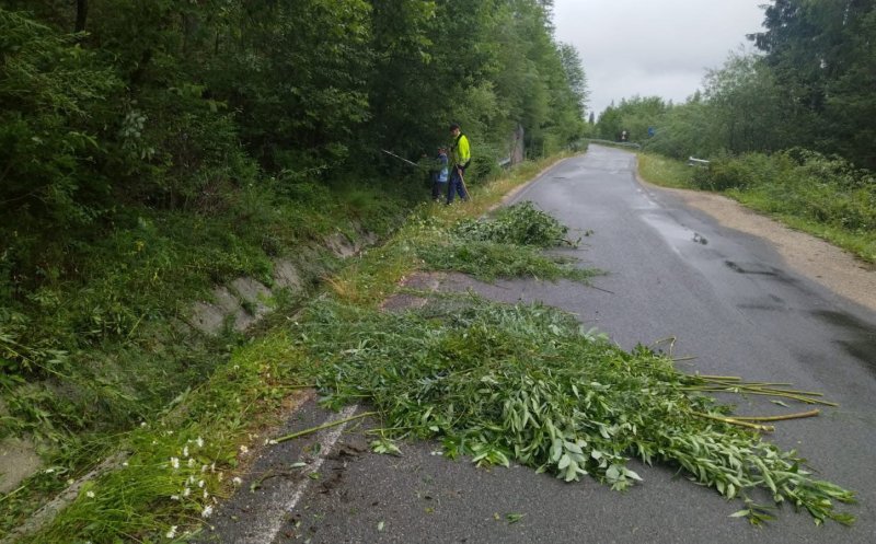 Drum turistic din Cluj, pus la punct: se taie vegetația, se curăță acostamentele și se desfundă șanțurile