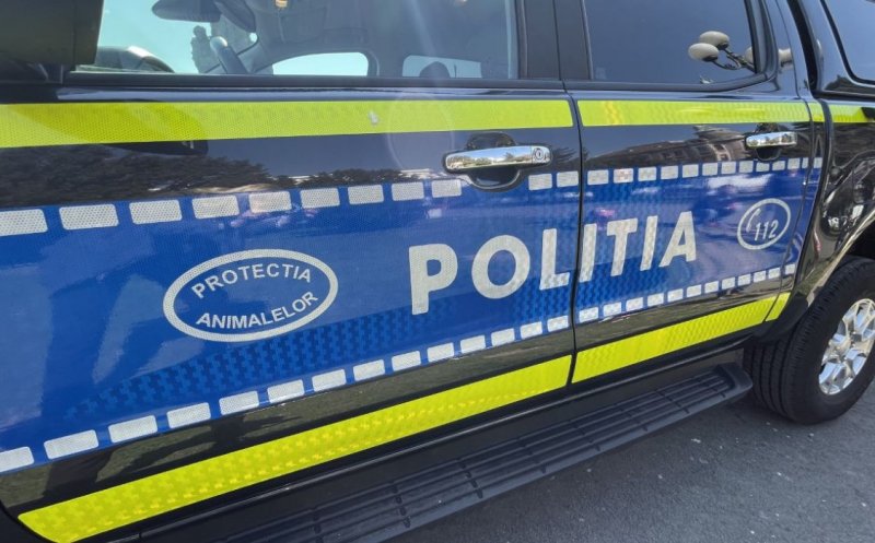Poliția Cluj intensifică controalele pentru protecția animalelor: Peste 200 de animale sterilizate și sancțiuni aplicate