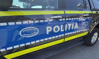 Poliția Cluj intensifică controalele pentru protecția animalelor: Peste 200 de animale sterilizate și sancțiuni aplicate