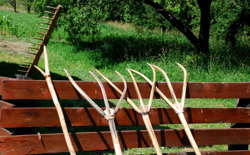 Tradiții clujene: Ce sărbătoreau oamenii de la sat pe 27 iulie. Duminică - hotarul dintre vară și toamnă