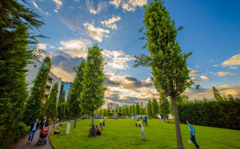 25 ani de IULIUS: 3 grădini urbane amenajate de la zero în Iași, Timișoara și Cluj-Napoca, 18 hectare spații verzi, peste 80.000 arbori maturi și arbuști