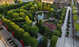 25 ani de IULIUS: 3 grădini urbane amenajate de la zero în Iași, Timișoara și Cluj-Napoca, 18 hectare spații verzi, peste 80.000 arbori maturi și arbu
