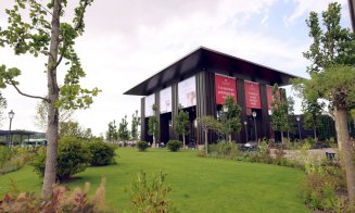 25 ani de IULIUS: 3 grădini urbane amenajate de la zero în Iași, Timișoara și Cluj-Napoca, 18 hectare spații verzi, peste 80.000 arbori maturi și arbu