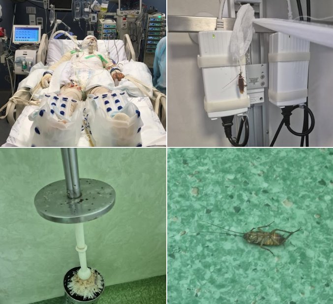 Anchetă după dezvăluirile din "lagărul" de arși din Spitalul Floreasca: suferință, gândaci și infecții