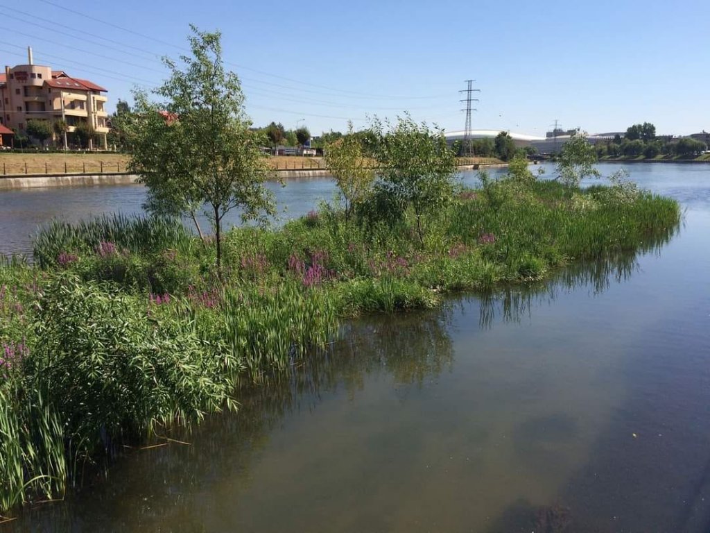 „Adoptă un Kilometru Albastru la Someșul nostru” – apel civic de la Cluj