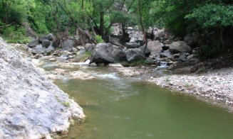 Escapadă de weekend în Cluj: Un colț ascuns în natură, perfect pentru o zi de relaxare în afara orașului