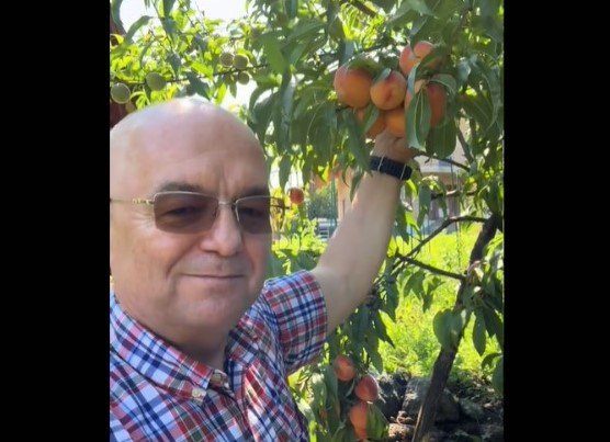 Emil Boc, surpriză dulce din grădina proprie: „Când culegi primele piersici bune…No, așa da!”